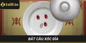 Live Casino Lu88 – Trải Nghiệm Sòng Bạc Cá Cược Hấp Dẫn - vaxon.dev