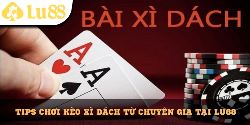 Kéo Xì Dách Lu88 - Tựa Game Bài Đầy Kịch Tính, Cuốn Hút - vaxon.dev
