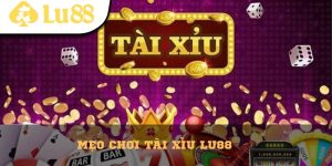 Live Casino Lu88 – Trải Nghiệm Sòng Bạc Cá Cược Hấp Dẫn - vaxon.dev
