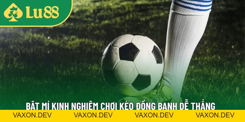 Kèo Đồng Banh Là Gì? Kinh Nghiệm Chơi Hay Từ Cao Thủ LU88 - vaxon.dev