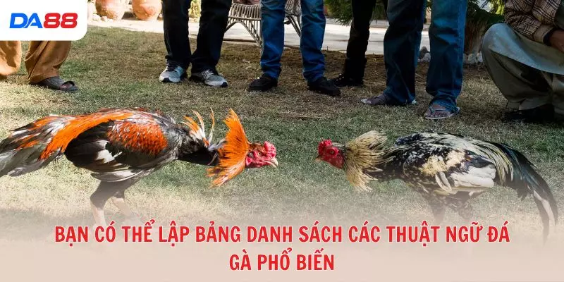 Từ A đến Z các thuật ngữ đá gà phổ biến trong sới gà hiện nay 2026 - vaxon.dev