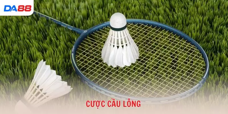 Top chiến thuật giúp bạn luôn lợi thế khi cược cầu lông 2026 - vaxon.dev