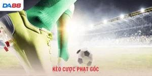 Kinh nghiệm - DA88 - vaxon.dev