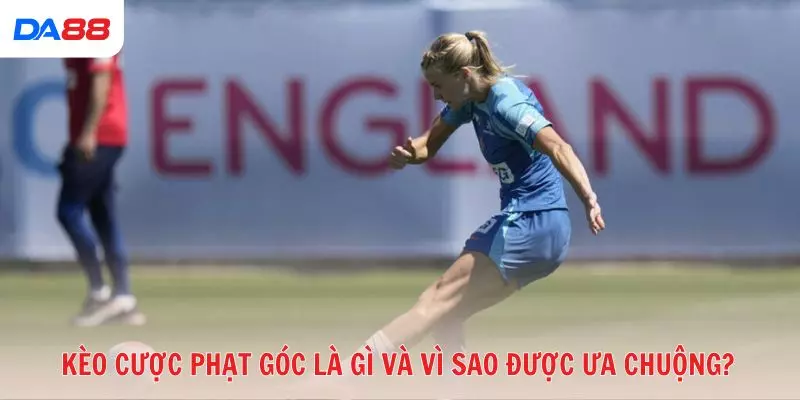 Kèo cược phạt góc có thật sự dễ thắng? Lý giải từ chuyên gia 2026 - vaxon.dev