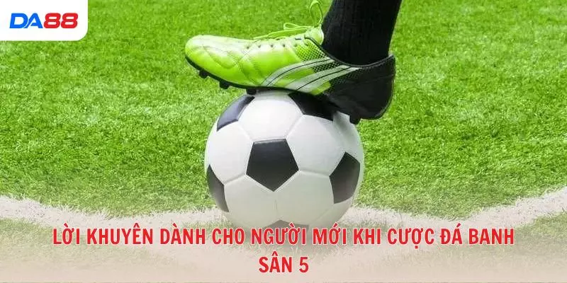 Top 5 chiến thuật cược đá banh sân 5 cho người mới dễ áp dụng - vaxon.dev