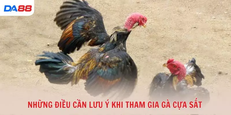 Gà cựa sắt là gì và vì sao được nhiều tay chơi ưa chuộng? 2026 - vaxon.dev