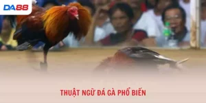 Kinh nghiệm - DA88 - vaxon.dev