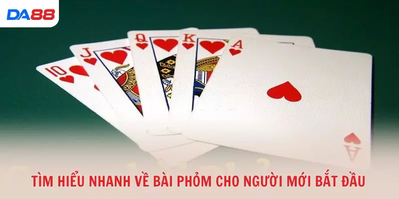 Học nhanh cách chơi bài Phỏm: Luật cơ bản và mẹo hay 2026 - vaxon.dev