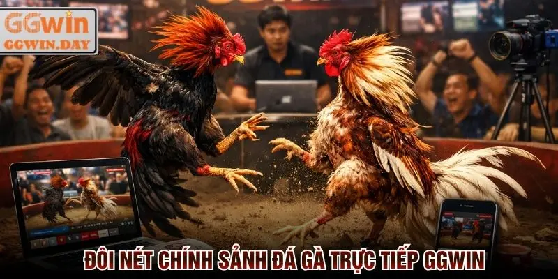 Đá Gà Trực Tiếp 24/7 - Cược Ngay Thắng Lớn Tại GGWin - vaxon.dev